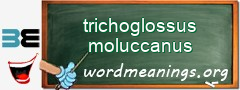 WordMeaning blackboard for trichoglossus moluccanus